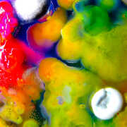 Famously Alive (Purple) , Guerilla Toss