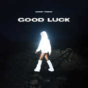 Good Luck , Debby Friday
