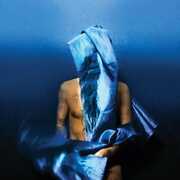 Flying Wig , Devendra Banhart