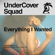 Everything I Wanted , Undercover Squad