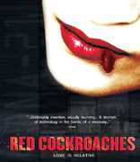 Red Cockroaches 