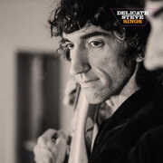 Delicate Steve Sings , Delicate Steve