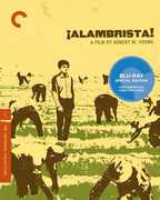 Alambrista! (Criterion Collection) , Domingo Ambriz