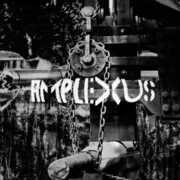 Melting Away - Fierce Detrunctation , Amplexus