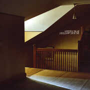 Yellow House , Grizzly Bear