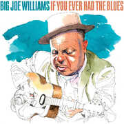 If You Ever Had The Blues , Big Joe Williams