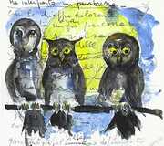 Gufi Allocchi Barbagianne E Altre Giovani Streghe [Import] 