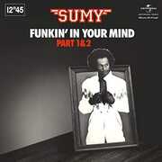 Funkin' In Your Mind , Sumy