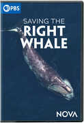 NOVA: Saving The Right Whale 