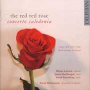 Red Red Rose , Concerto Caledonia