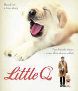Little Q , Simon Yam