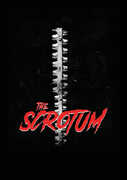 The Scrotum 