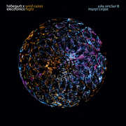 Wind Takes Flight - Hildegard x Electronics , Marijn Cinjee