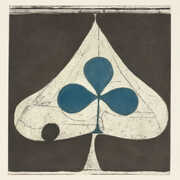 Shields , Grizzly Bear