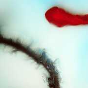 Stubborn Heart , Stubborn Heart