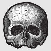 Black Pearl , Black Label Society