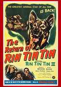 The Return Of Rin Tin Tin , Donald Woods