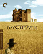 Days of Heaven (Criterion Collection) , Richard Gere