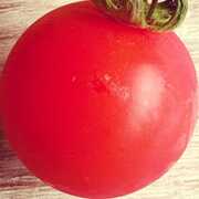 pomodorosa , Pomodorosa