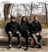 Act Surprised , Sebadoh
