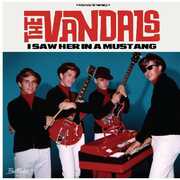 I Saw Her In A Mustang , The Vandals