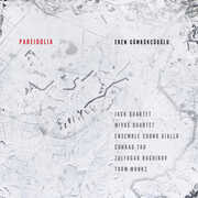 Pareidolia , Conrad Tao