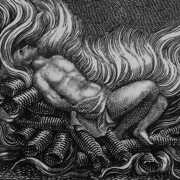 Nada!Nada!Nada! , Cigno