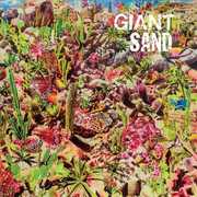 Returns To Valley Of Rain , Giant Sand
