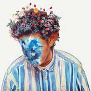 Fall Of Hobo Johnson , Hobo Johnson