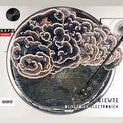 Osm Tnica Electronica , Various Artists