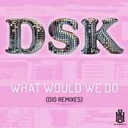 What Would We Do (DIO Remixes) , DSK