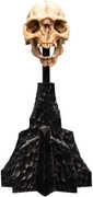 WETA Workshop Polystone - The Lord of the Rings Trilogy - Skull of a Moria Orc Polystone Statue