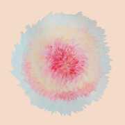 When Words Flew Freely , Signe Marie Rustad