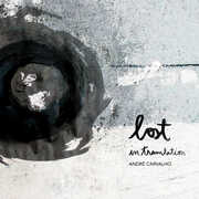 Lost in Translation , Andre Carvalho