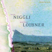 Still Storm , Lucas Niggli