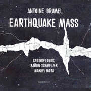 Earthquake Mass , Manuel Mota