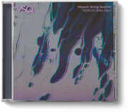 VSQ Performs Billie Eilish , Vitamin String Quartet