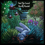 Feel the Sound Of Harvey Mandel , Harvey Mandel