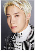 Dicon D'Festa BTS - J-Hope - Rm - 88pg Deco Book w/  4 Deco Stickers + 5pc Photo Card Set [Import] 