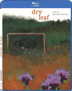 Dry Leaf 