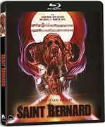 Saint Bernard 