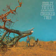 Crooked Tree , Molly Tuttle & Golden Highway