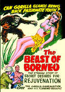 The Beast of Borneo , John Preston