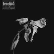 To Dull The Blades Of Your Abuse , Leeched