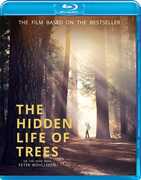 The Hidden Life of Trees 