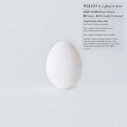 A Ghost Is Born  (9LP/ 4CD box set) , Wilco