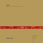 Divertimento K 563 , Martin Rummel