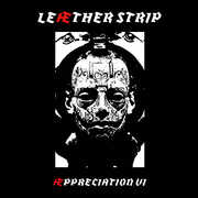 Aepprectiation Vi , Leather Strip