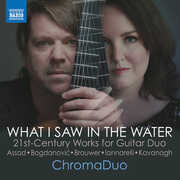 Assad, Bogdanovic, Brouwer, Iannarelli & Kavanagh: What I Saw in the Water , ChromaDuo