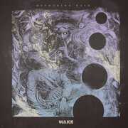 Devouring Ruin , The Wake